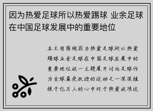 因为热爱足球所以热爱踢球 业余足球在中国足球发展中的重要地位